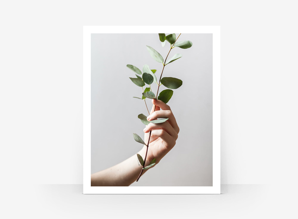 Prodigi postcards