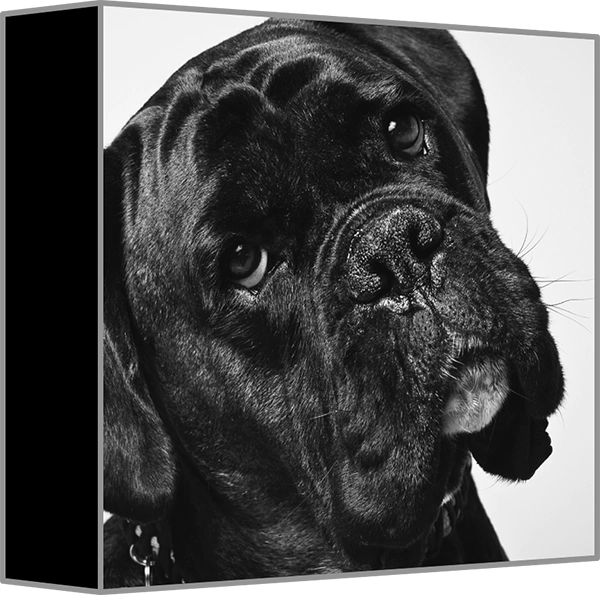 Canvas black edge