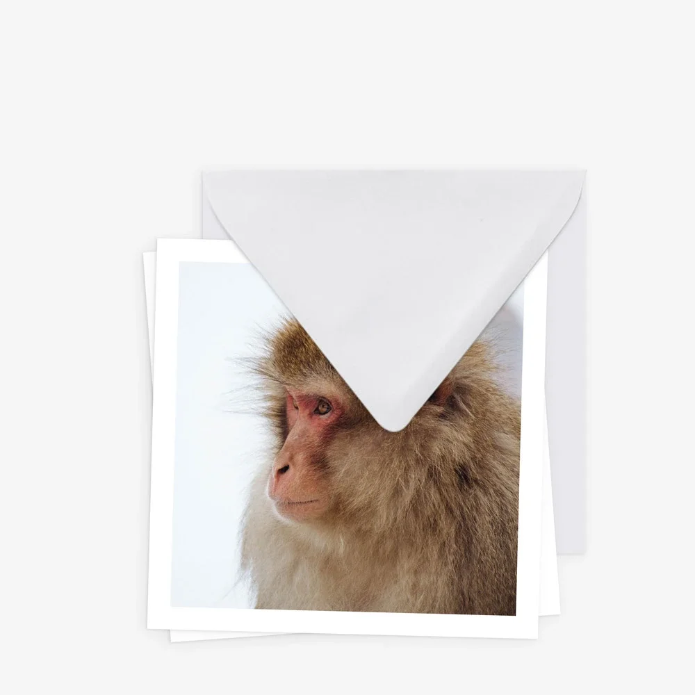 Print on demand cards &amp; stationery