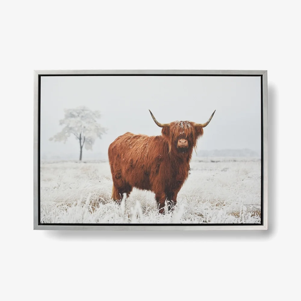 Custom printed products in Australia: Wall art