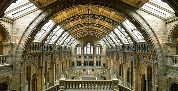 nhm